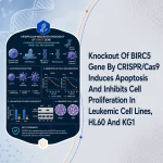 Knockout Of BIRC5 Gene By CRISPR/Cas9 Induces Apoptosis And Inhibits Cell Proliferation In Leukemic Cell Lines, HL60 And KG1