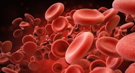 بیماری های خونی | مطالعه رویه ی پلاکت ها