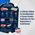 An Effective Method for Decellularization of Human Foreskin: Implications for Skin Regeneration in Small Wounds