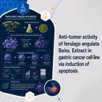 Anti-tumor activity of ferulago angulata Boiss. Extract in gastric cancer cell line via induction of apoptosis