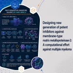 Designing new generation of potent inhibitors against membrane-type matrix metalloproteinase-2: A computational effort against multiple myeloma