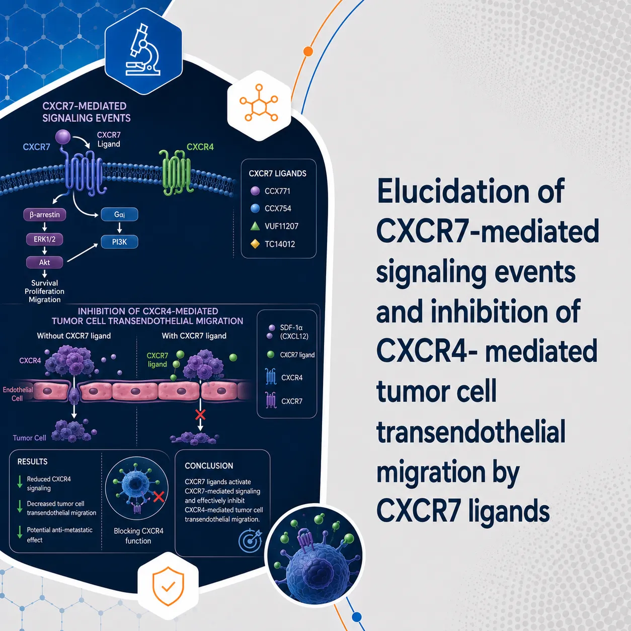 Elucidation of CXCR7-mediated signaling events and inhibition