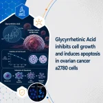 Glycyrrhetinic Acid inhibits cell growth and induces apoptosis in ovarian cancer a2780 cells