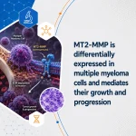MT2-MMP is differentially expressed in multiple myeloma cells and mediates their growth and progression