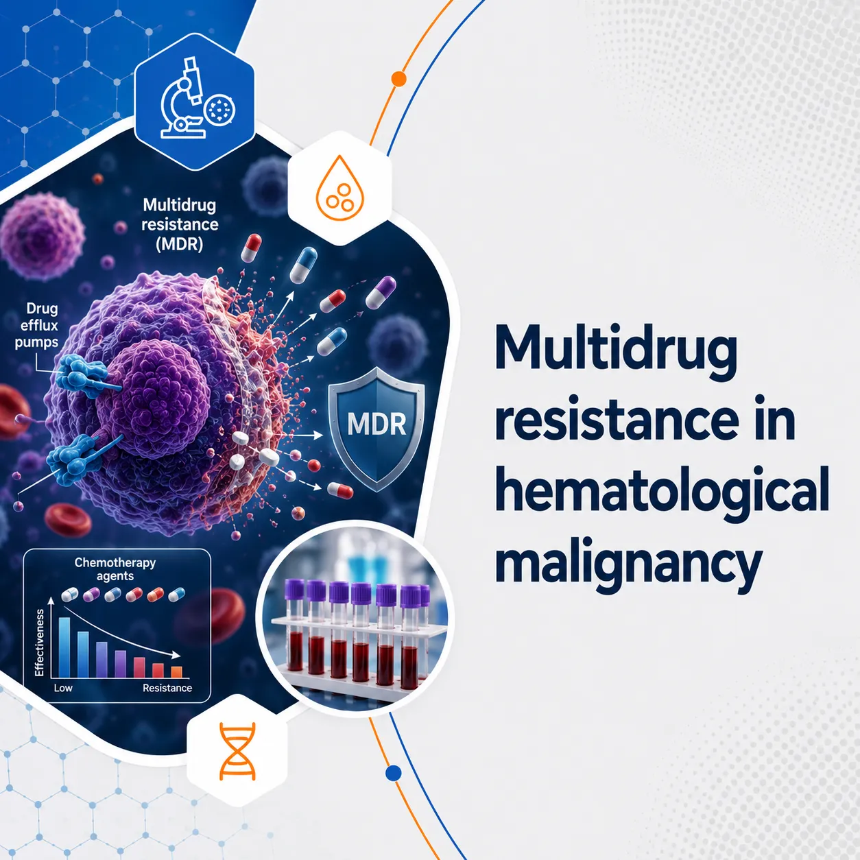Multidrug resistance in hematological malignancy