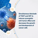 Simultaneous blockade of TIGIT and HIF-1a induces synergistic anti-tumor effect and decreases the growth and development of cancer cells
