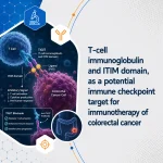 T-cell immunoglobulin and ITIM domain, as a potential immune checkpoint target for immunotherapy of colorectal cancer