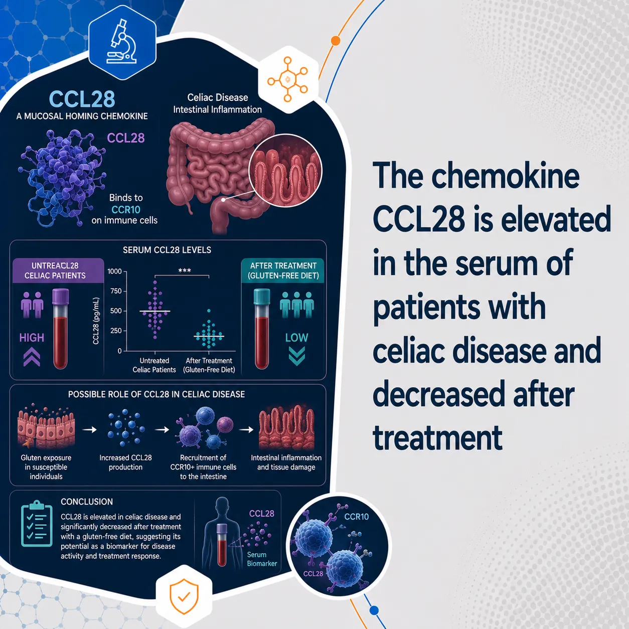 The chemokine CCL28 is elevated in the serum