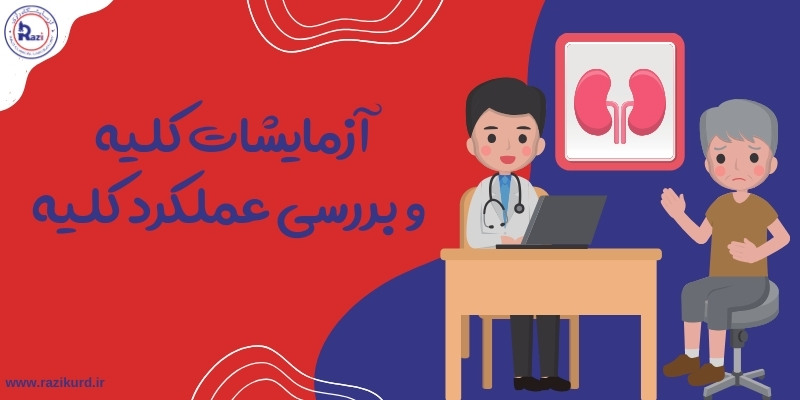 آزمایشات کلیه چیست؟